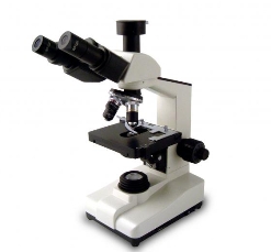 Microscopio Trinoculare Professionale T490B - Ingrandimento 40x-2000x, Con Fase Meccanica 3D